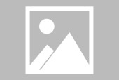 九游体育入口-Scout关键节点爆冷，RNG带队取胜！-九游体育入口